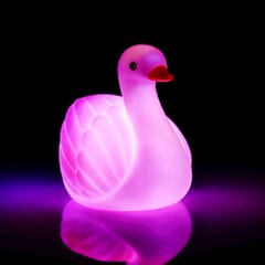 Flashing Floating Swan