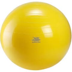 Therapy Body Ball