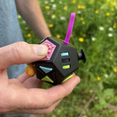 12 Sided Mega Fidget