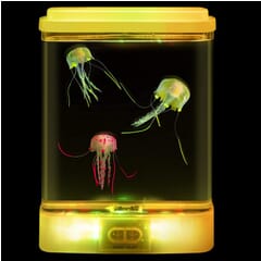Illuminated Jellyfish Aquarium