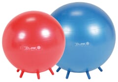 Sit n Gym Ball