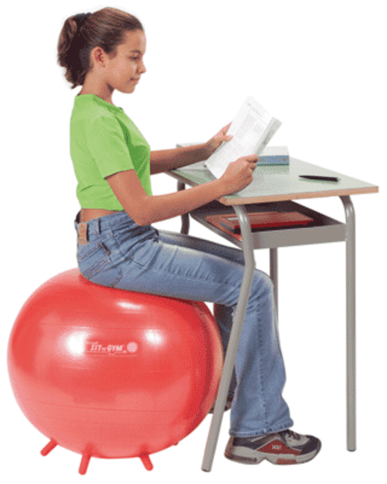 Buy Our Sit n Gym Ball Online Sensory DIrect