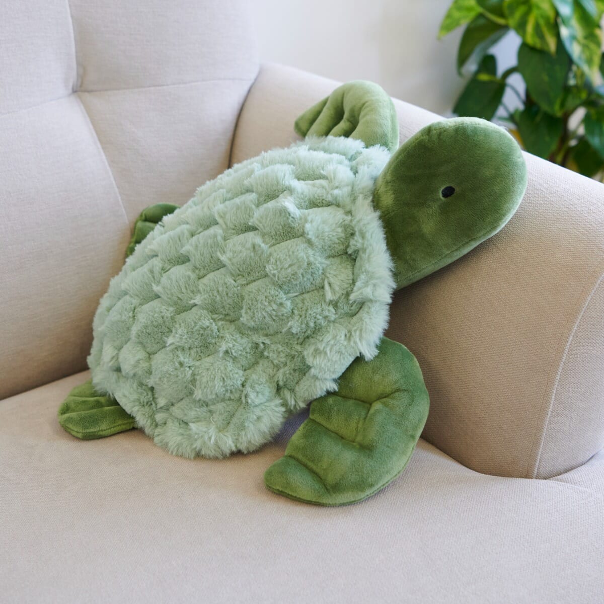 Weighted Therapy Turtle