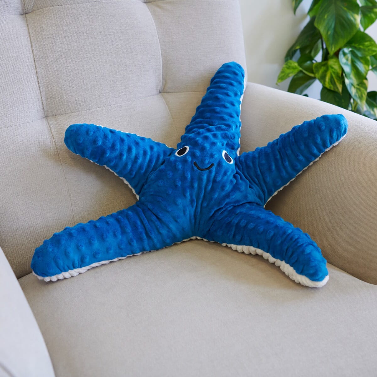 Weighted Therapy Starfish