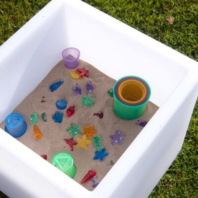 School Sensory Garden