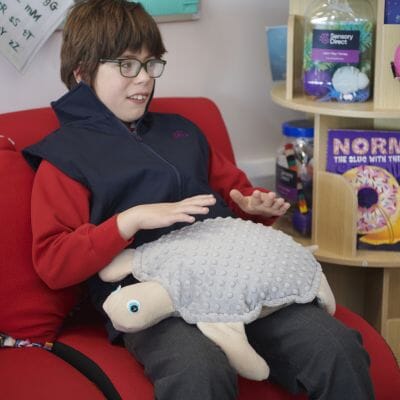 Weighted Therapy Animals